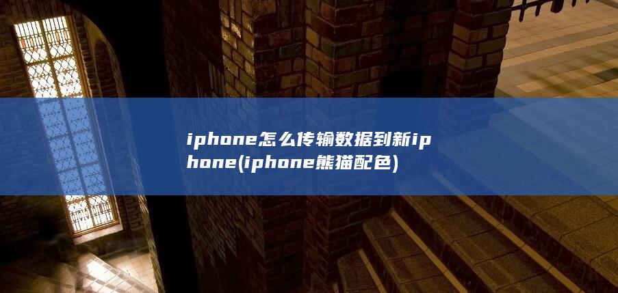 iphone怎么传输数据到新iphone (iphone熊猫配色)