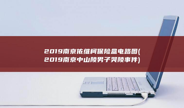 2019南京依维柯保险盒电路图 (2019南京中山陵男子哭陵事件)