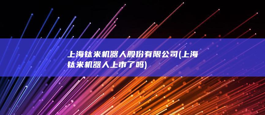 上海钛米机器人股份有限公司 (上海钛米机器人上市了吗)