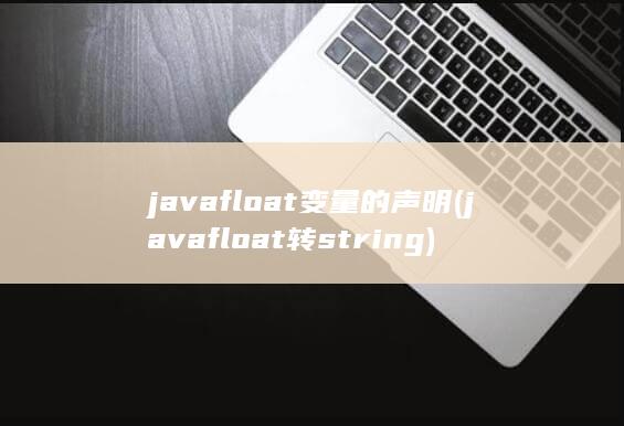 javafloat变量的声明 (javafloat转string)