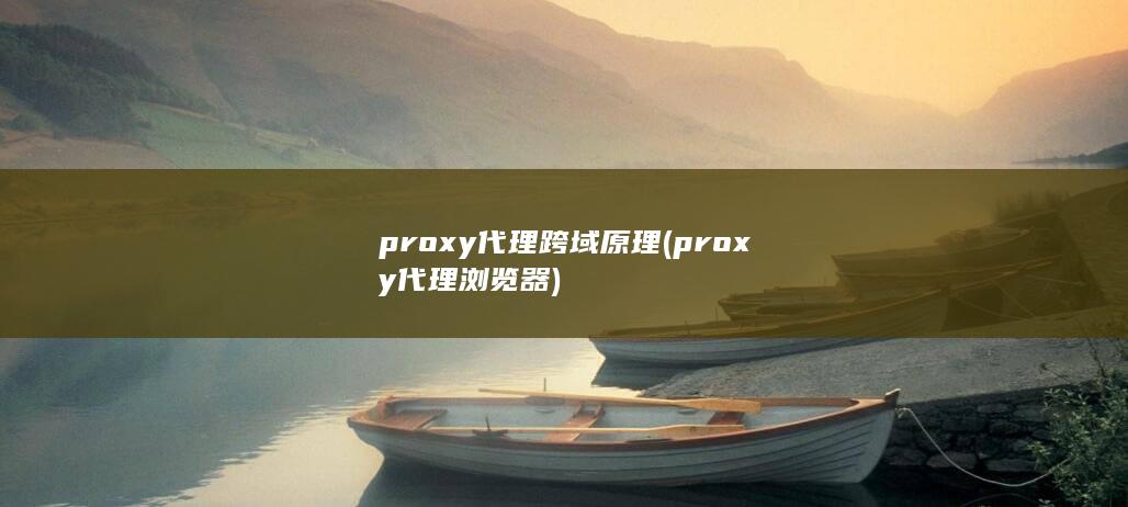 proxy代理跨域原理 (proxy代理浏览器) 第1张