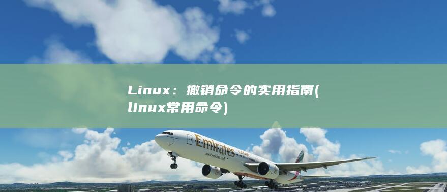 Linux：撤销命令的实用指南 (linux常用命令)