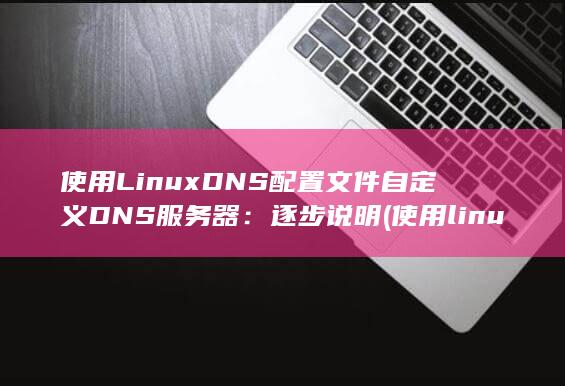 使用 LinuxDNS 配置文件自定义 DNS 服务器：逐步说明 (使用linux命令在文件中输入)