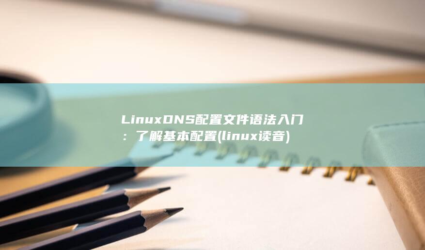 LinuxDNS 配置文件语法入门：了解基本配置 (linux读音)
