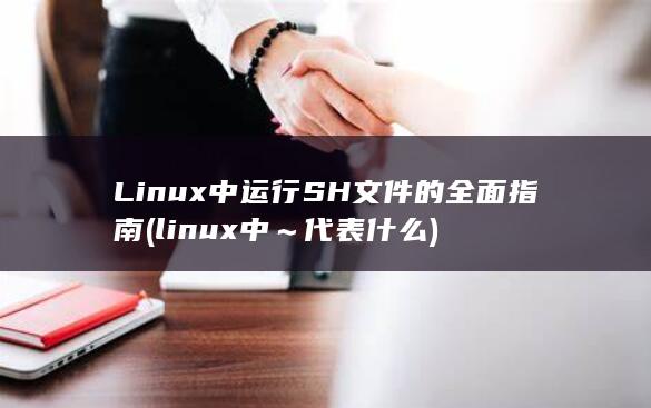 Linux 中运行 SH 文件的全面指南 (linux中～代表什么)